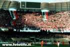 Bari-Lecce 02-03 "Sangue e Sudore"